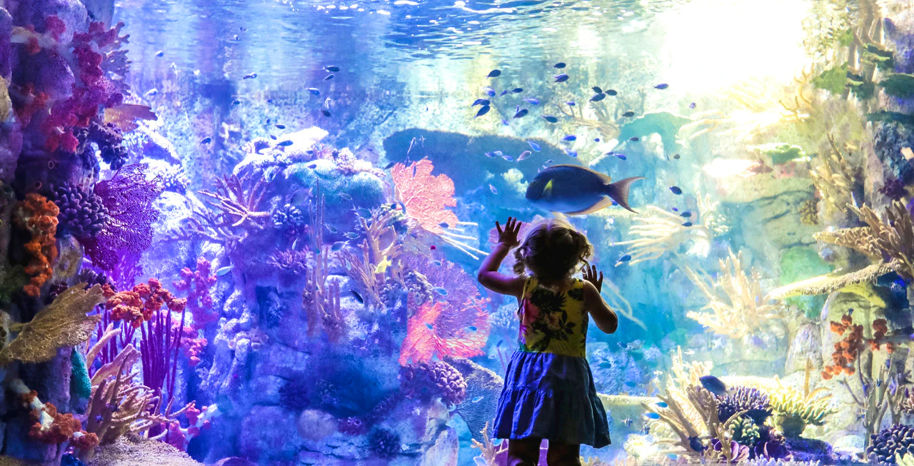 Go City San Diego All-Inclusive Pass: Save Up to 50% on Attractions